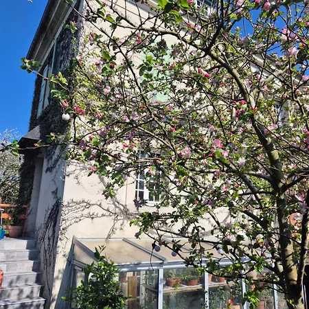 Maison Proche De La Gare Homestay