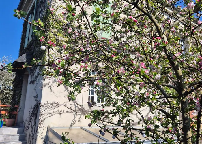 Maison Proche De La Gare Rum i privatbostad